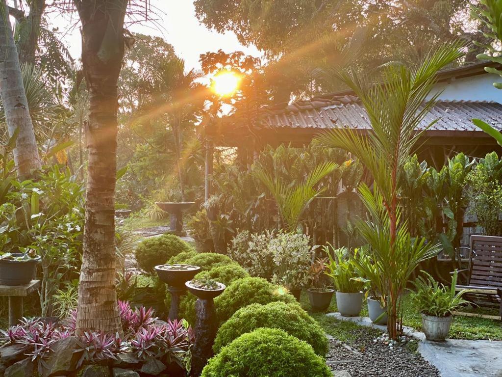 Hathawariya Green View Cabin ตัลป์ ภายนอก รูปภาพ