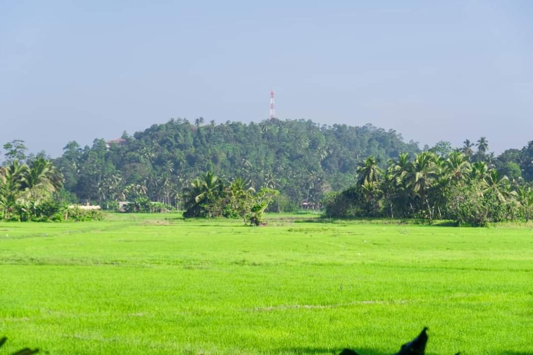 Hathawariya Green View Cabin ตัลป์ ภายนอก รูปภาพ