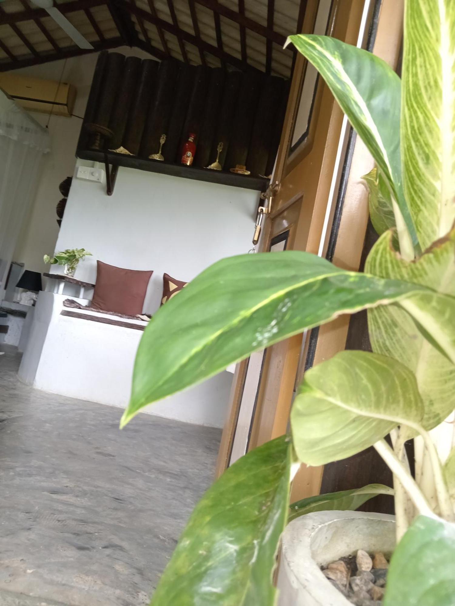Hathawariya Green View Cabin ตัลป์ ภายนอก รูปภาพ